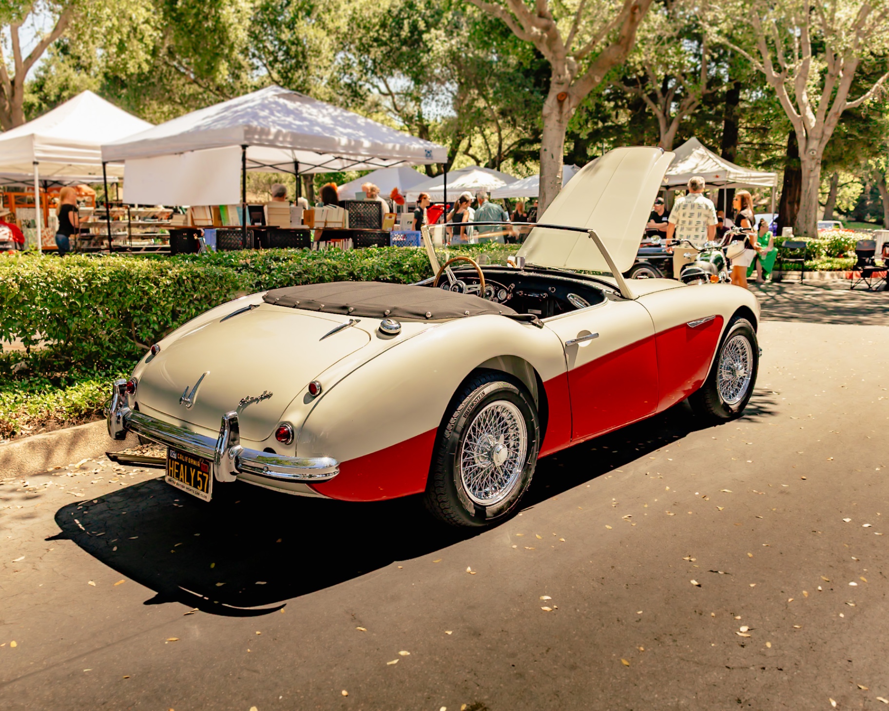 Cream and red Austin-Healey 100 from the rear